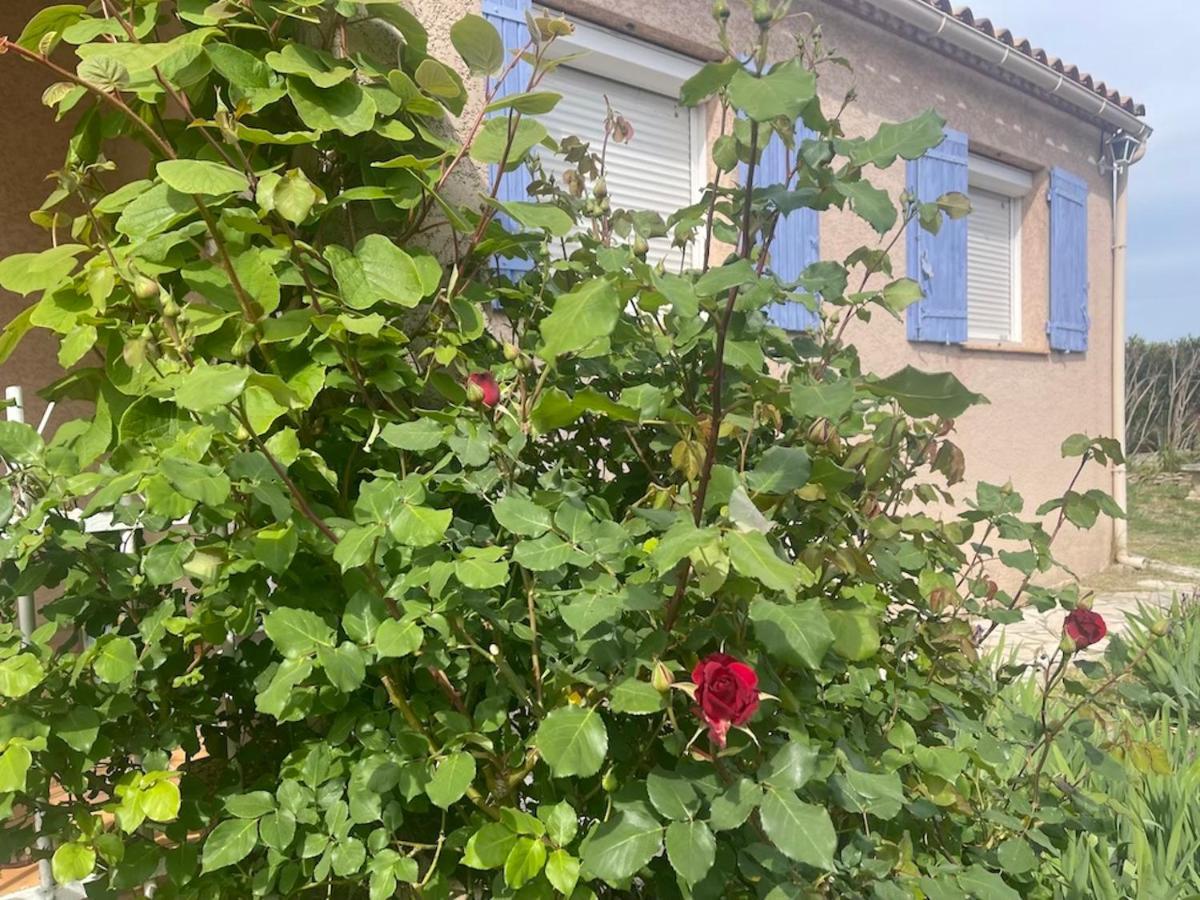 Confortable Villa De Vacances Entre Nimes, Le Pont Du Gard, Uzes, Arles, Avignon Маргеритт Екстер'єр фото